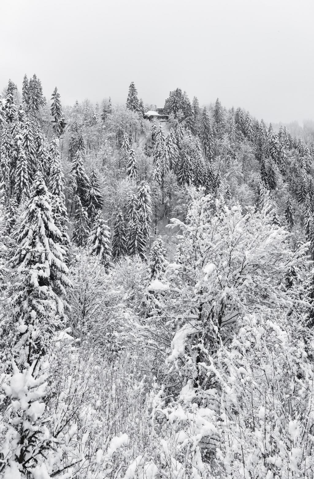 P0000072 Panorama_MASTER_2019-BW.jpg